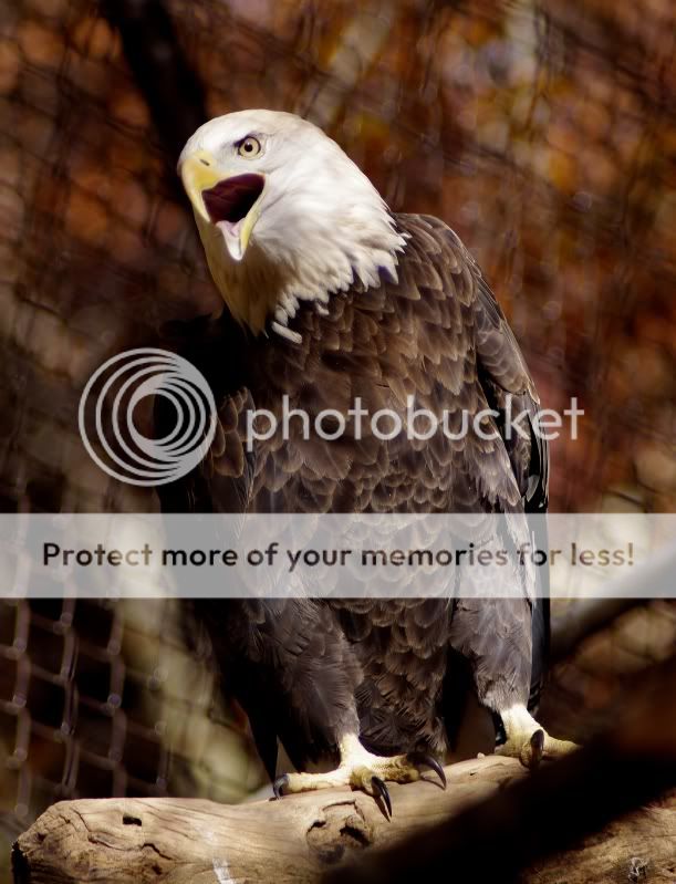 French Creek Game Farm